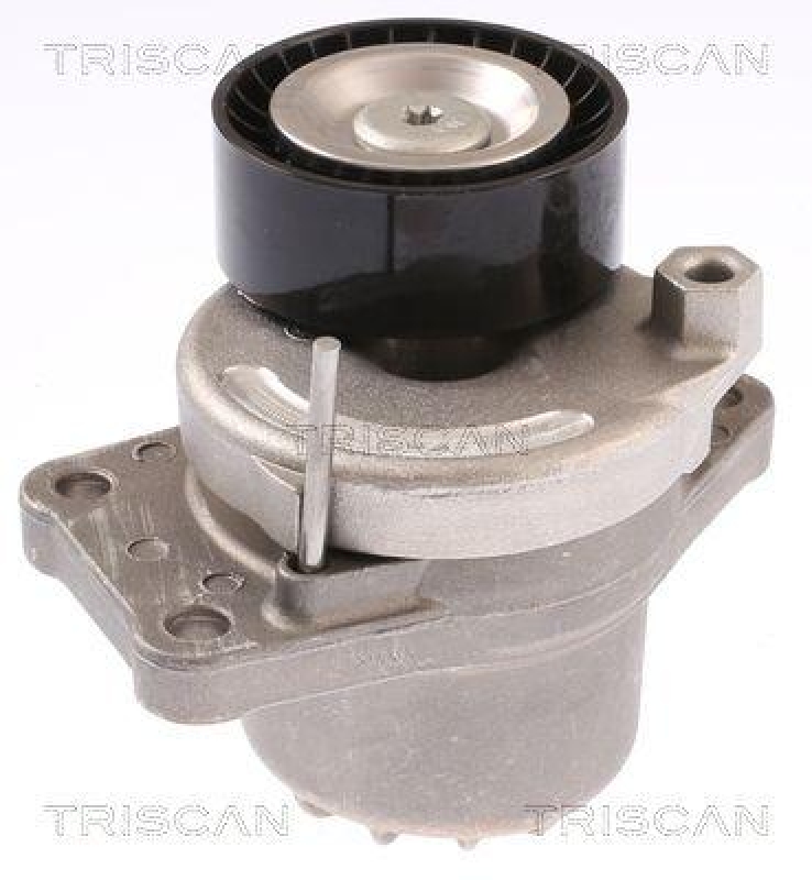 TRISCAN 8641 103051 Spannrolle für Citroen, Peugeot