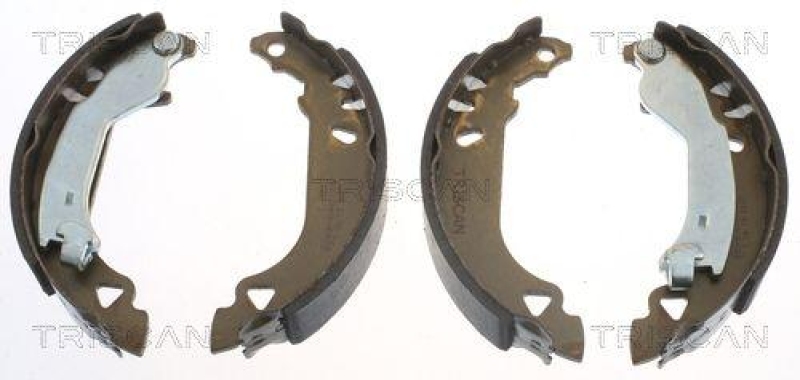 TRISCAN 8100 15482 Bremsbacken für Fiat Tipo