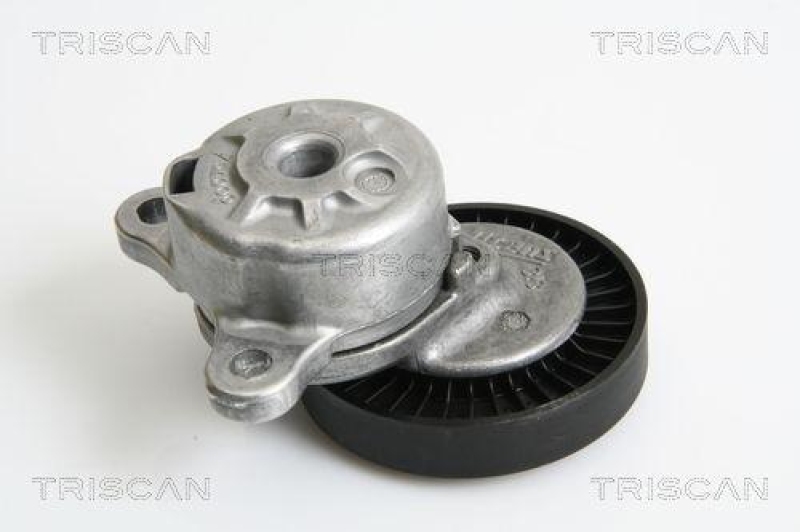 TRISCAN 8641 173003 Riemenspanneinheit für Rover