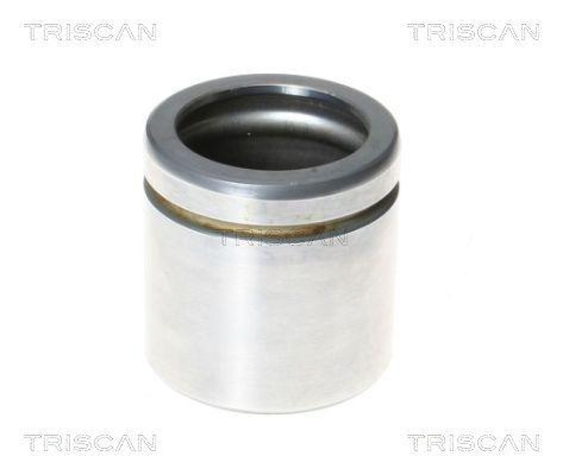 TRISCAN 8170 235478 Kolben für Renault