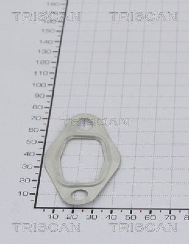 TRISCAN 8813 99121 Egr Dichtung für Egr Gasket