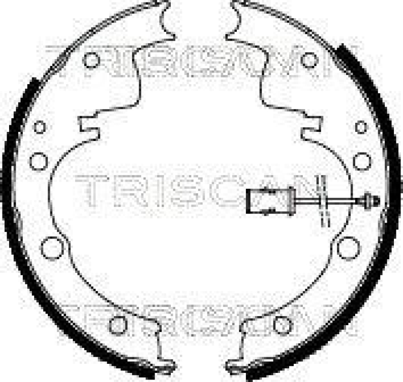 TRISCAN 8100 15558 Bremsbacken für Fiat Daily