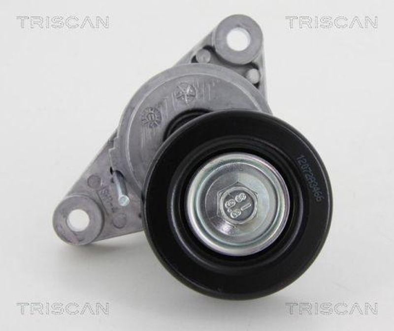 TRISCAN 8641 211002 Spannrolle für Chevrolet, Daewoo