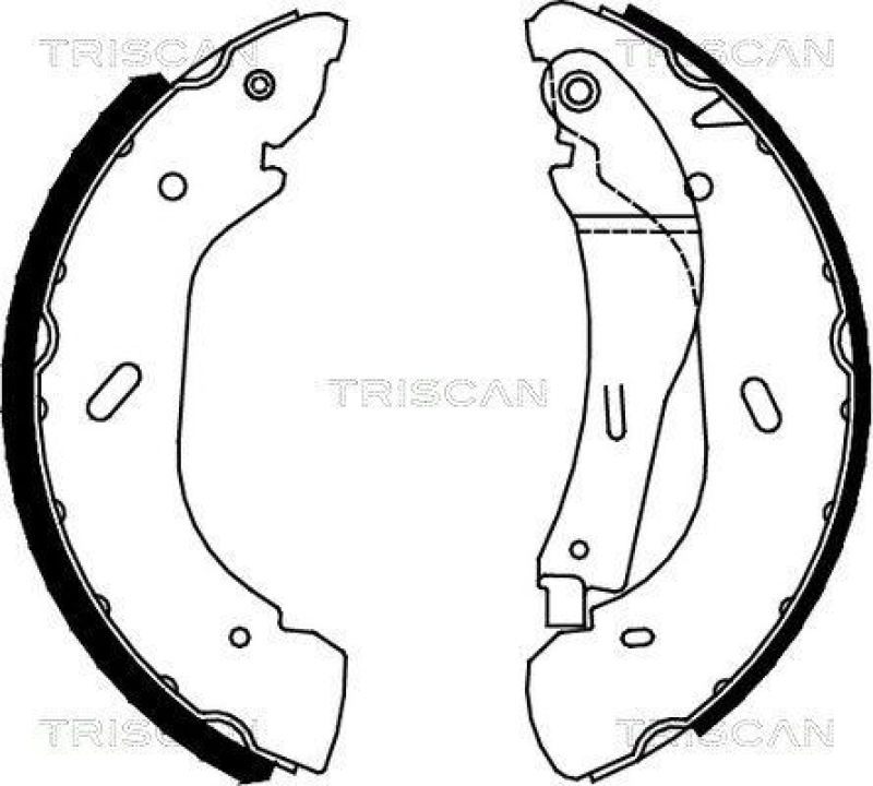 TRISCAN 8100 16005 Bremsbacken für Ford Transit