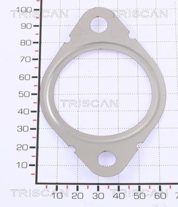 TRISCAN 8813 99127 Egr Dichtung für Opel