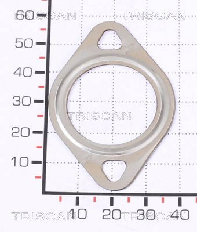 TRISCAN 8813 99132 Egr Dichtung für Vag