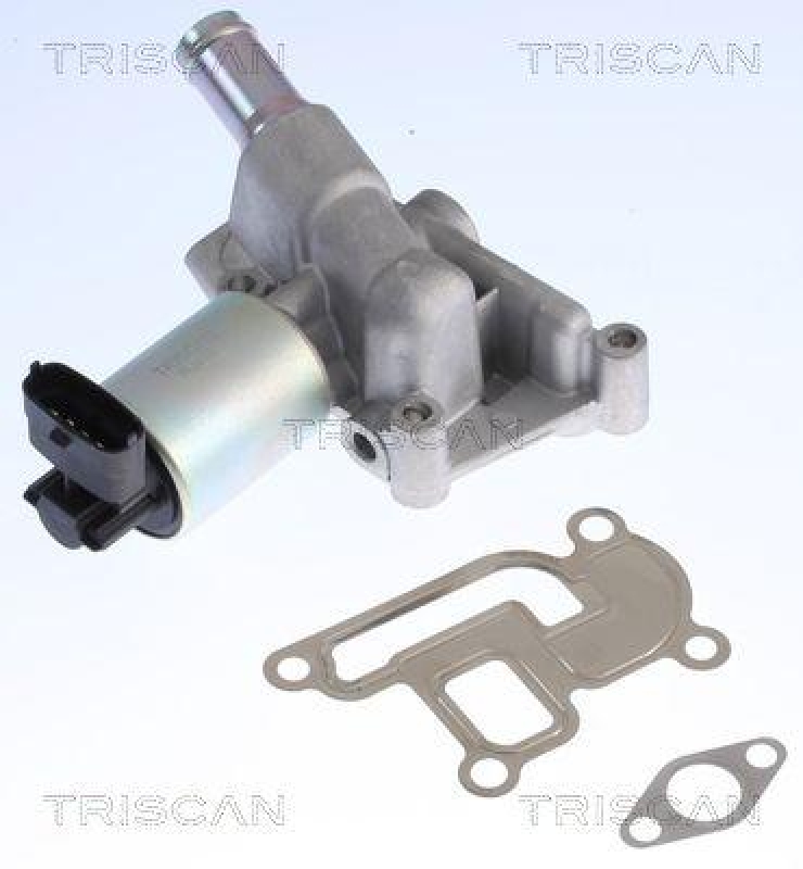 TRISCAN 8813 24001 Agr Ventil für Opel/Fiat/Gm