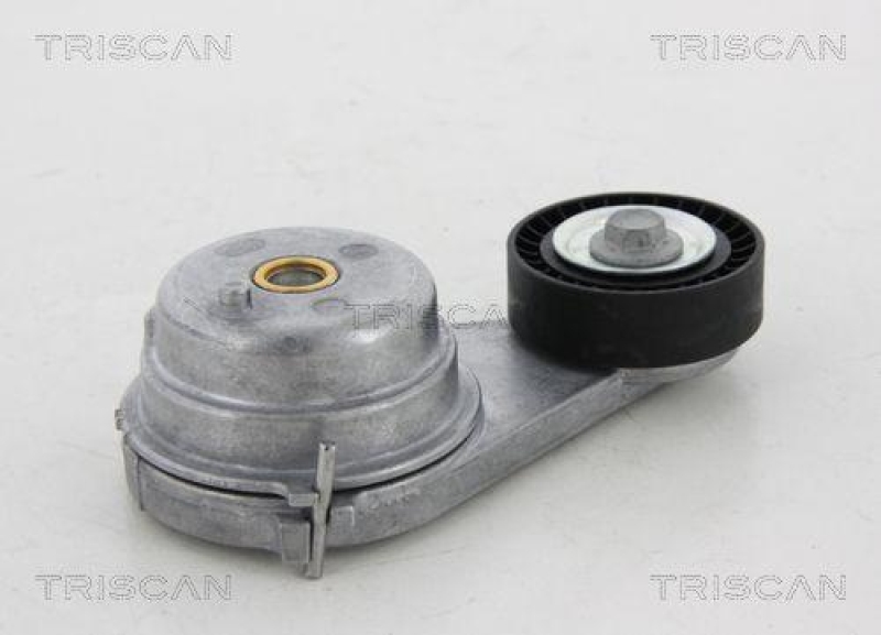 TRISCAN 8641 231023 Spannrolle für Smart