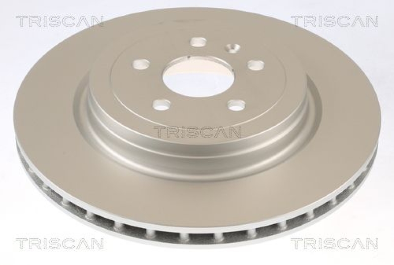 TRISCAN 8120 81002c Bremsscheibe Hinten, Coated für Tesla