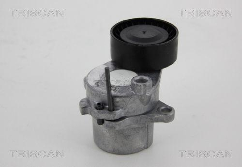 TRISCAN 8641 231024 Spannrolle für Mercedes