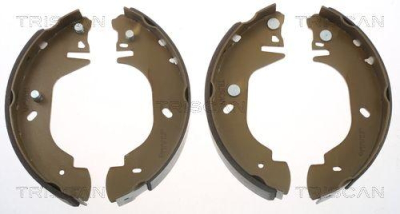 TRISCAN 8100 16570 Bremsbacken für Ford Transit