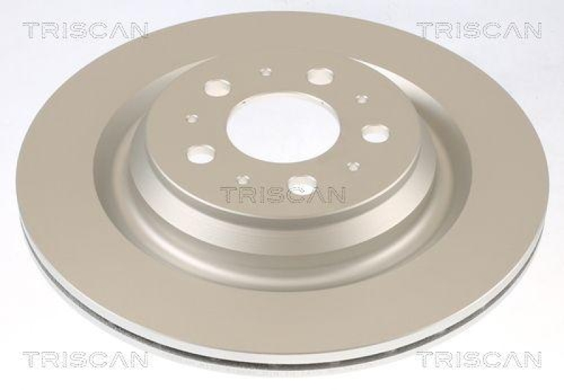 TRISCAN 8120 81004c Bremsscheibe Hinten, Coated für Tesla