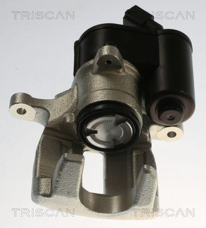 TRISCAN 8175 29249 Triscan Bremssattel für Audi