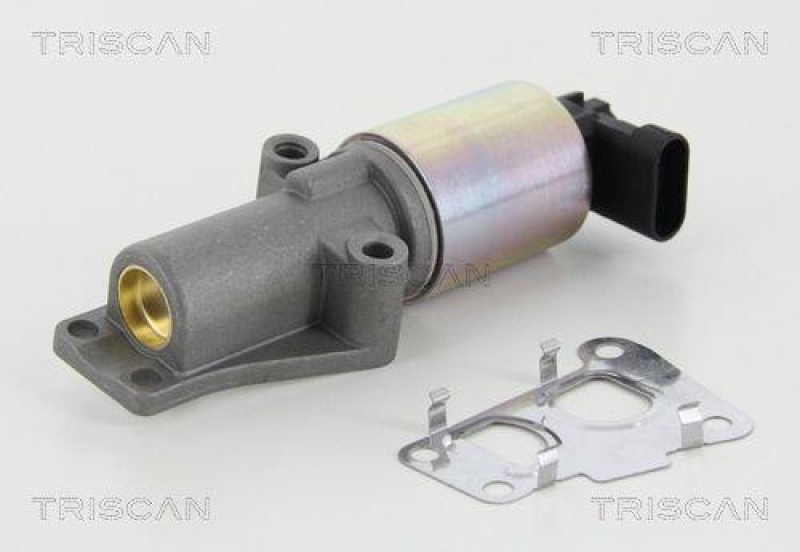 TRISCAN 8813 24010 Agr Ventil für Opel/Saab