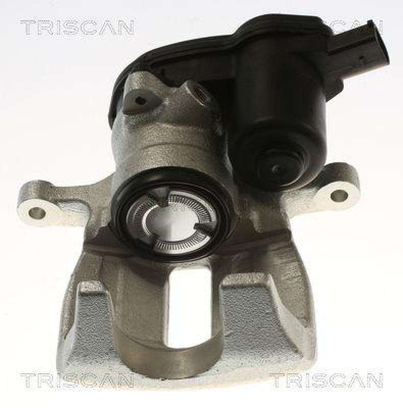 TRISCAN 8175 29252 Triscan Bremssattel für Audi