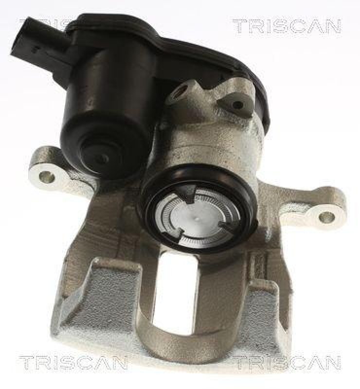 TRISCAN 8175 29253 Triscan Bremssattel für Audi