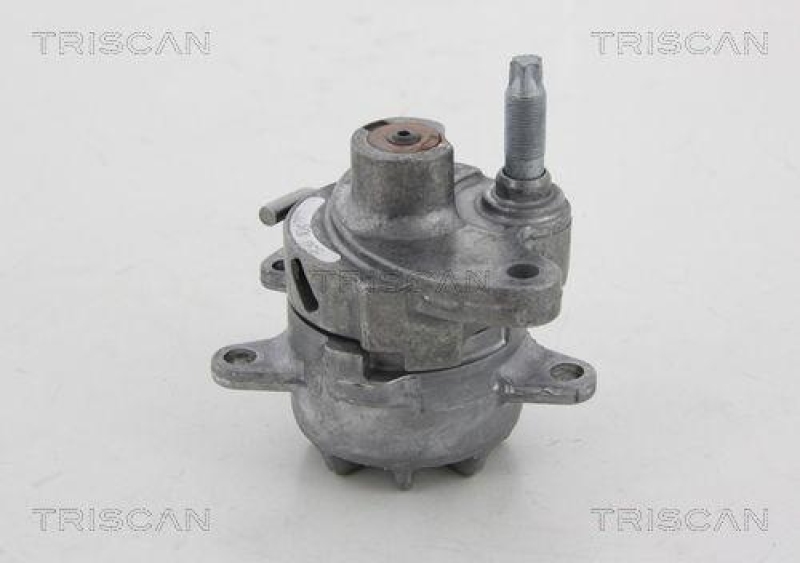 TRISCAN 8641 232018 Spannrolle für Mercedes