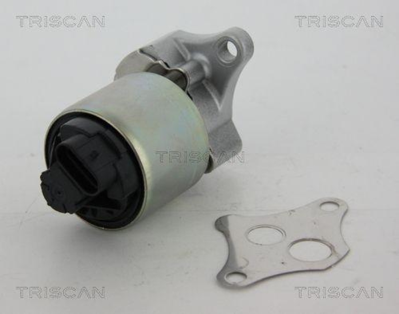 TRISCAN 8813 24081 Agr Ventil für Opel/Saab