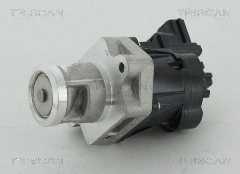 TRISCAN 8813 24083 Agr Ventil für Opel/Gm