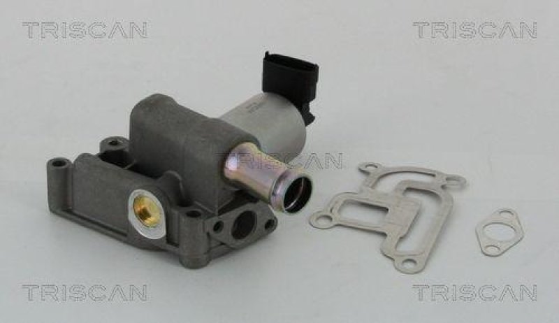 TRISCAN 8813 24200 Agr Ventil für Opel