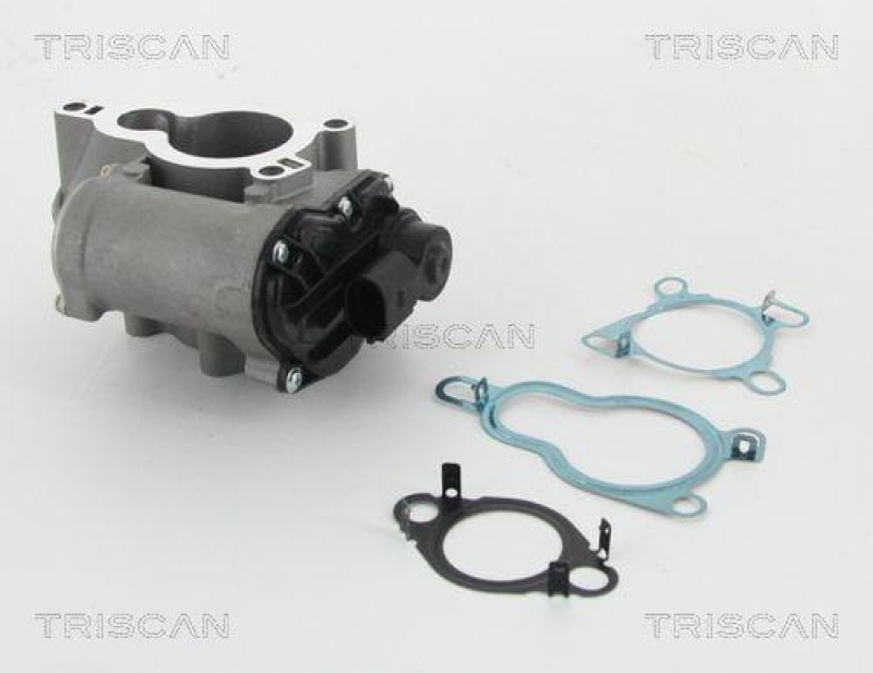 TRISCAN 8813 25010 Agr Ventil für Renault/Dacia