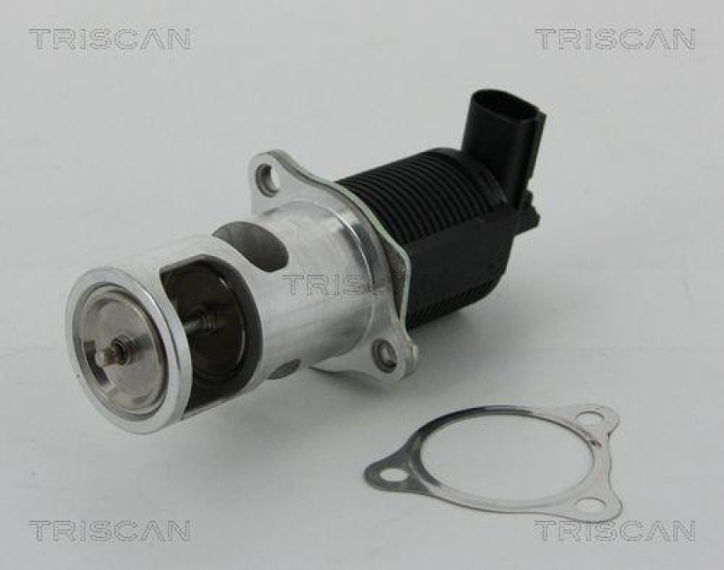 TRISCAN 8813 25038 Agr Ventil für Renault/Dacia