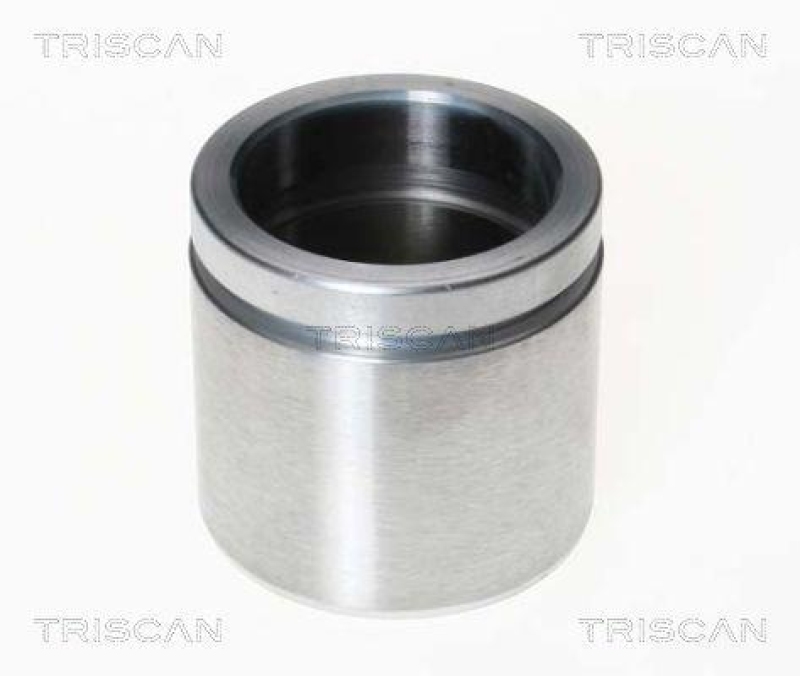 TRISCAN 8170 235742 Kolben für Bmw, Volvo