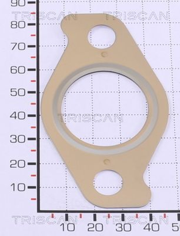 TRISCAN 8813 99171 Egr Dichtung für Egr Pakning