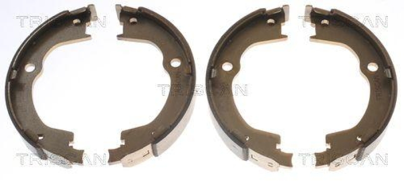 TRISCAN 8100 24003 Bremsbacken, Feststellbremse für Chevrolet, Opel