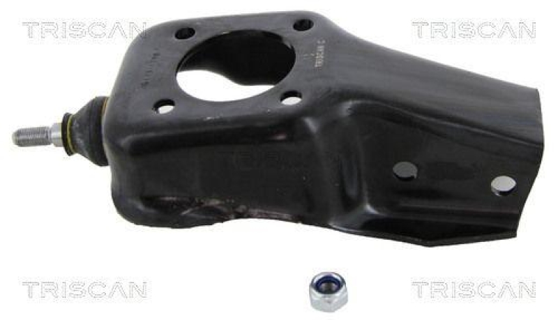 TRISCAN 8500 15560 Ashkörper für Fiat Panda 4Wd