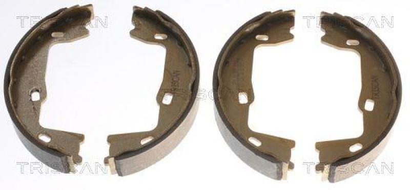 TRISCAN 8100 24005 Bremsbacken, Feststellbremse für Opel, Saab