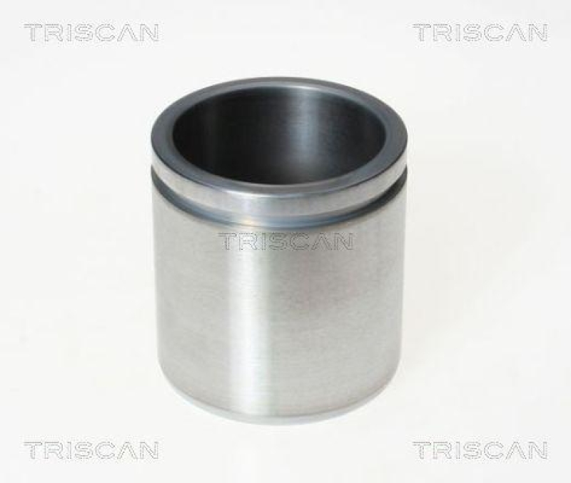 TRISCAN 8170 236028 Kolben für Ford Cargo, Mercedes L. Co