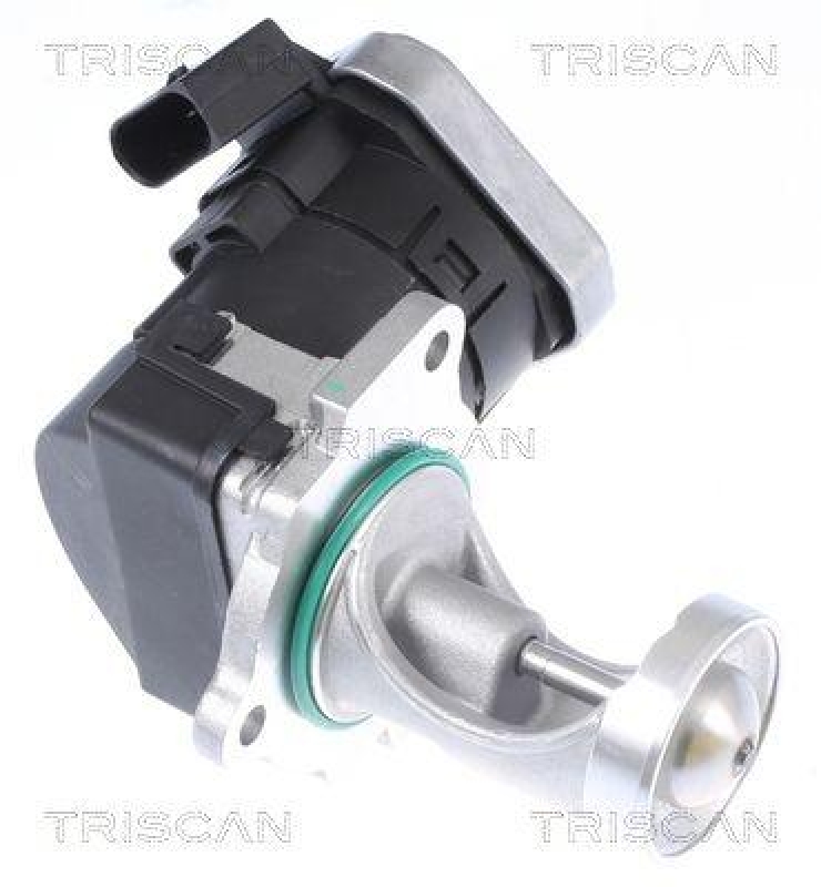 TRISCAN 8813 29043 Agr Ventil für Vag/Ford