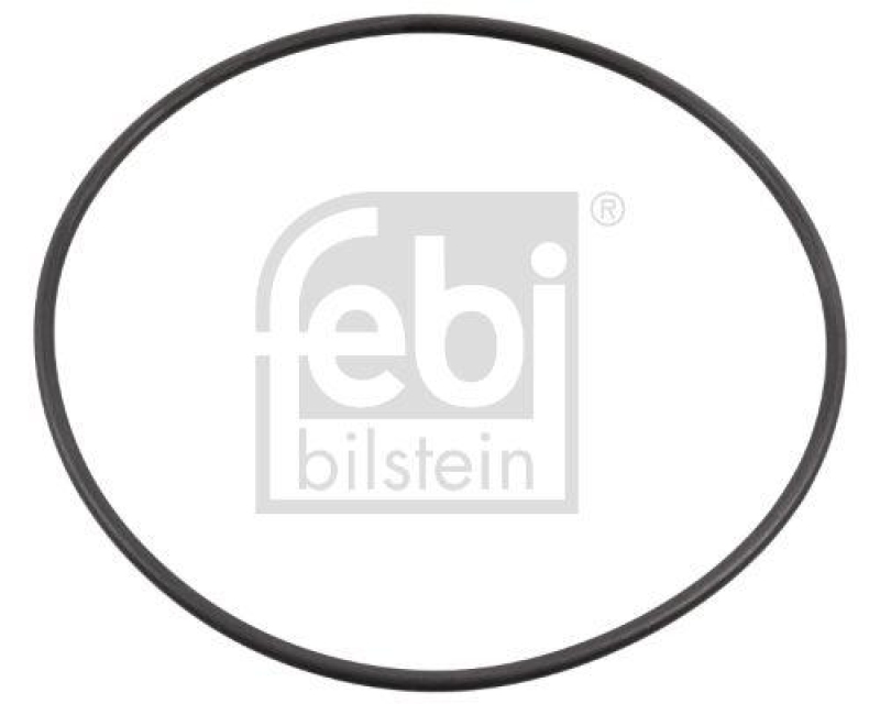 FEBI BILSTEIN 48456 Dichtring für Wasserpumpe für RENAULT (RVI)