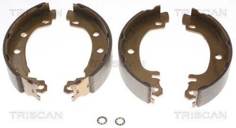 TRISCAN 8100 25003 Bremsbacken für Renault Megane