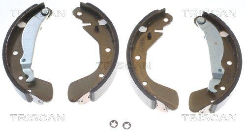 TRISCAN 8100 24539 Bremsbacken für Opel Astra