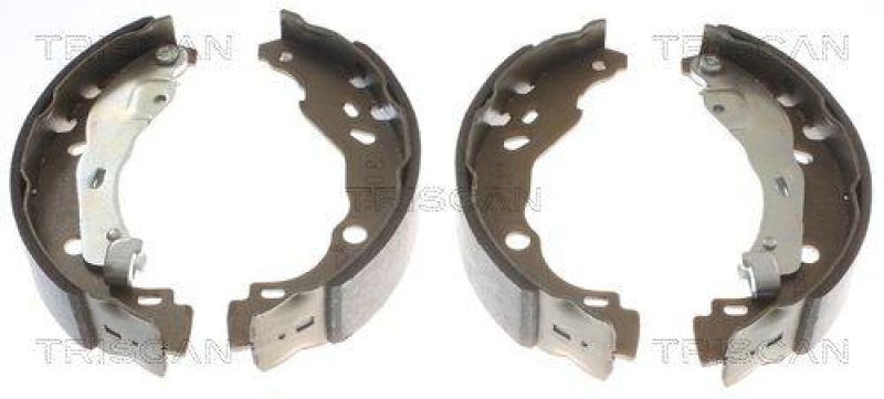 TRISCAN 8100 25001 Bremsbacken für Renault Clio Ii