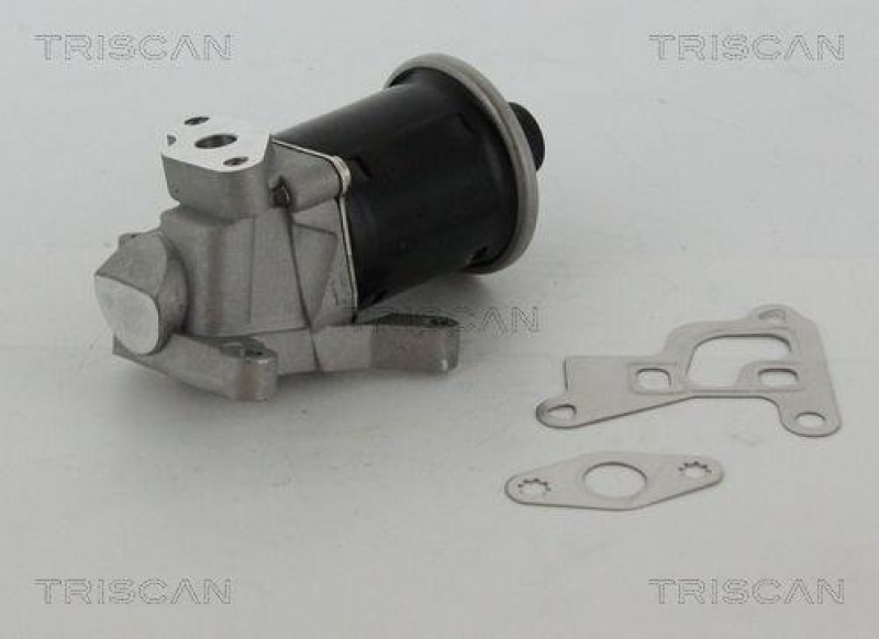 TRISCAN 8813 29100 Agr Ventil für Vw