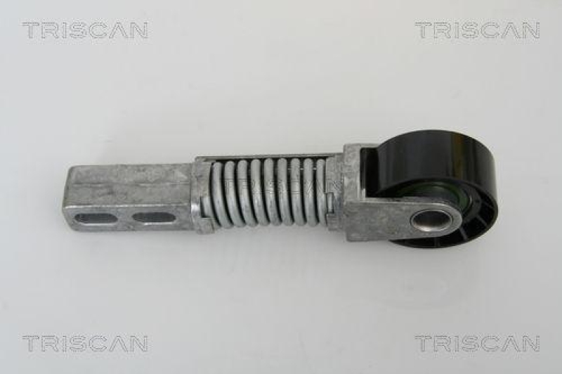 TRISCAN 8641 253004 Riemenspanneinheit für Renault