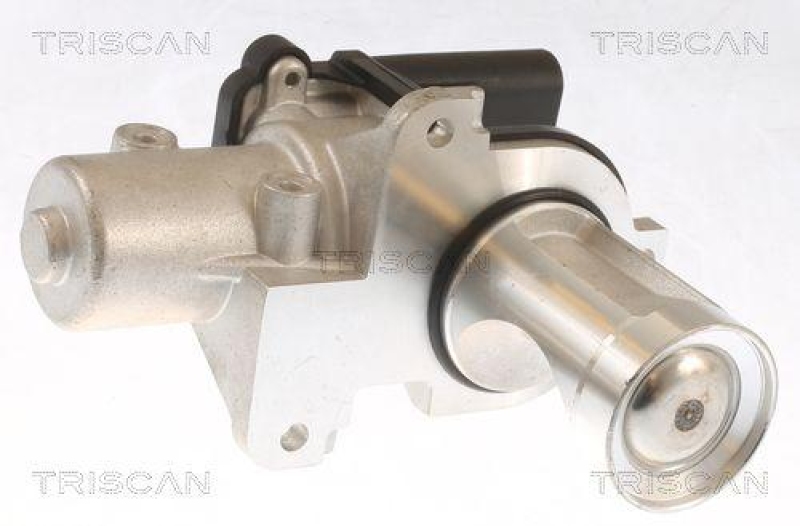 TRISCAN 8813 29101 Agr Ventil für Vw