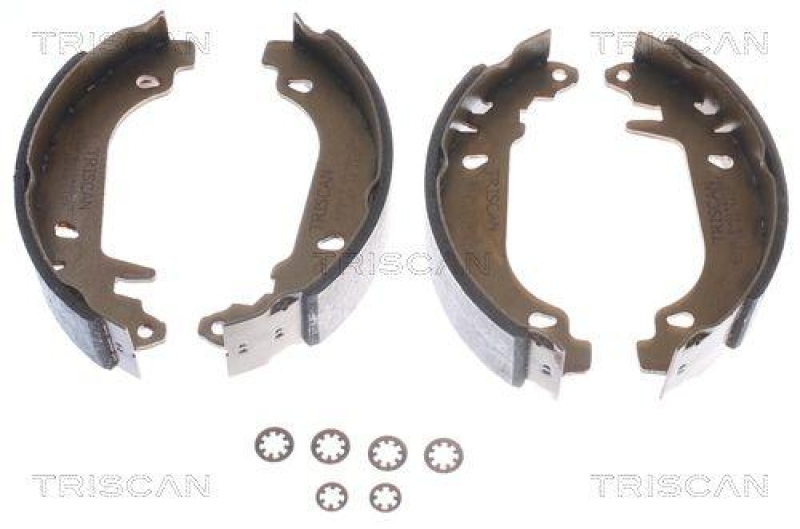 TRISCAN 8100 25476 Bremsbacken für Renault