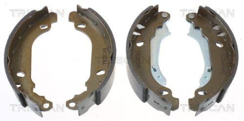 TRISCAN 8100 25637 Bremsbacken für Renault Clio Ii