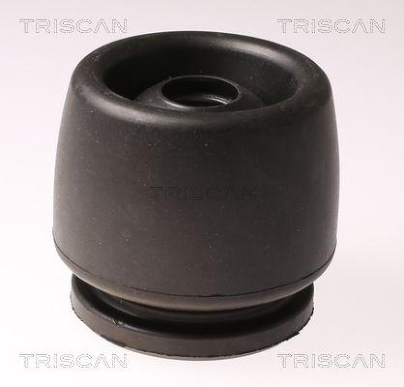 TRISCAN 8540 15901 Manchettensatz für Fiat 127, 128, Ritmo, Pand