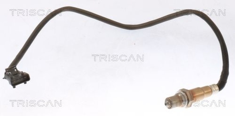 TRISCAN 8845 16036 Lambdasonde für Ford