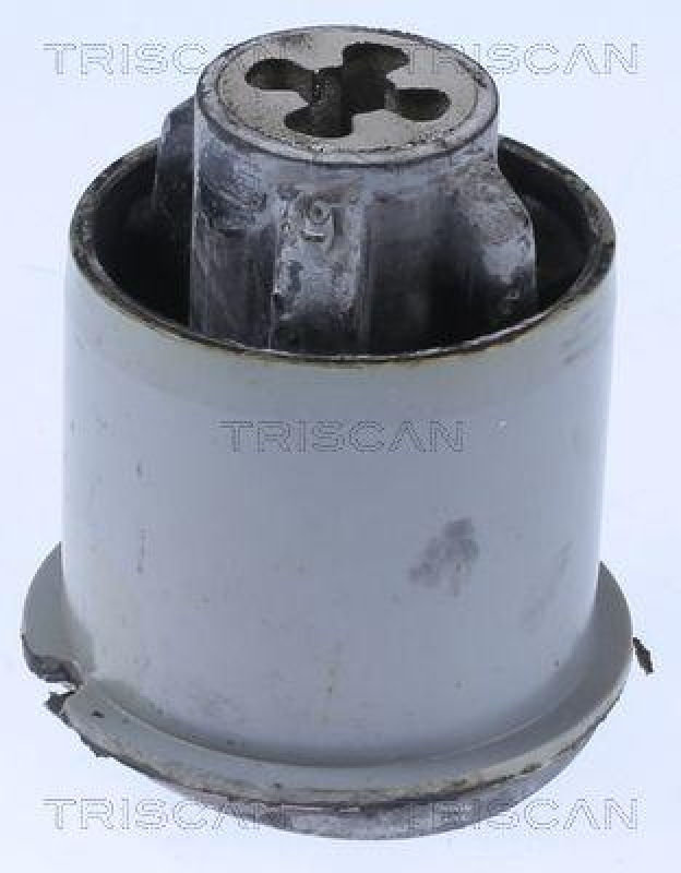 TRISCAN 8500 25876 Gummimetallager Hinterachse für Renault Megane, Scenic