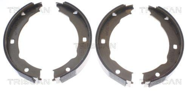 TRISCAN 8100 28050 Bremsbacken, Feststellbremse für Peugeot 406