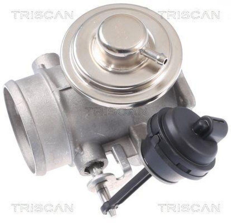 TRISCAN 8813 29309 Agr Ventil für Vw Transporter