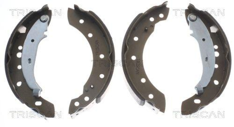 TRISCAN 8100 28052 Bremsbacken für Peugeot 206