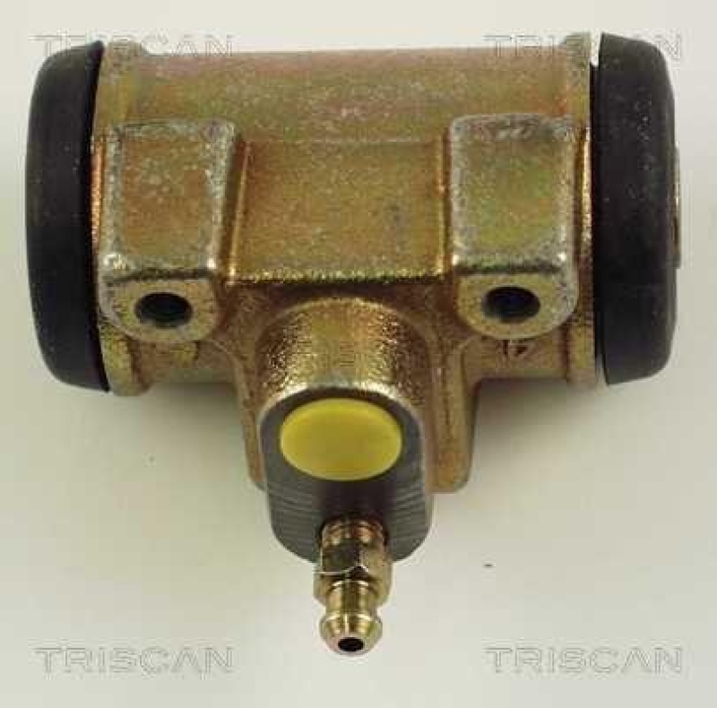 TRISCAN 8130 10043 Radzylinder für Citroen, Peugeot