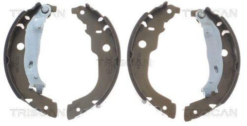 TRISCAN 8100 28053 Bremsbacken für Peugeot 207